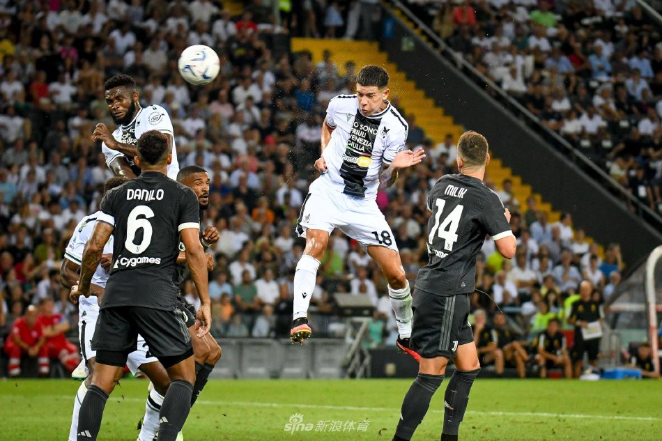 固的地位 固的地位